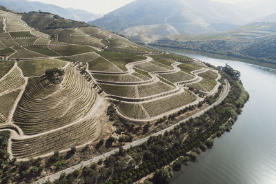 Douro vineyards from aerial view