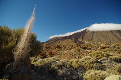 Scenic view of mountains against blue sky