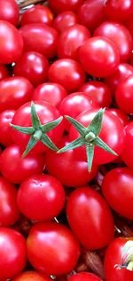 Full frame shot of tomatoes