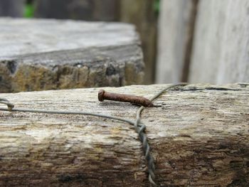 Close-up of wooden railing