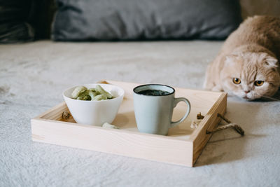 Cbd edibles, cbd-infused snacks, hemp wafers with cannabis. testy cbd snacks in bowl and cup 