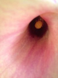 Extreme close up of eye