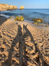 Shadow of people on beach