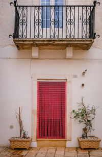 Potted plant on wall of building