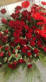 High angle view of red flowering plant