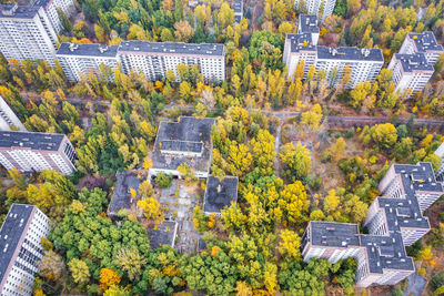 Ukraine, kyiv oblast, pripyat, aerial view of rooftops of abandoned city in autumn