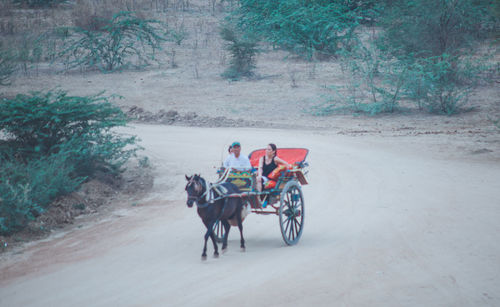 People riding horse cart