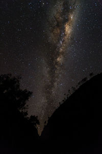 Low angle view of silhouette trees against star field