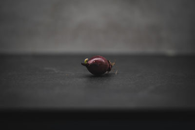 Close-up of strawberry on table