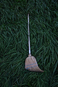 High angle view of broom on grassy field