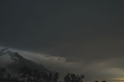 Low angle view of silhouette trees against sky at night