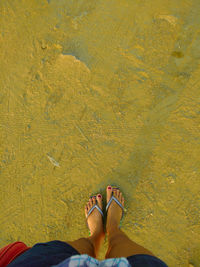 Low section of woman standing on beach