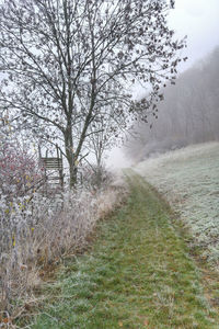 Scenic view of snowy field against sky during winter