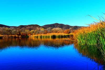 Scenic view of lake against clear blue sky