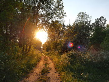 Dirt road amidst trees on field against sky