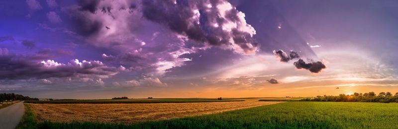Scenic view of agricultural field against sky during sunset