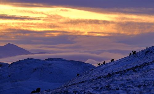 Scenic view of snow covered mountains against sky during sunset