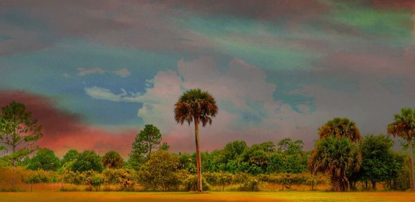 Silhouette trees against dramatic sky