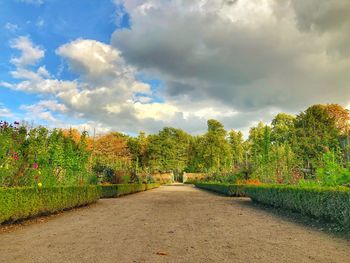 Footpath amidst trees against sky during autumn