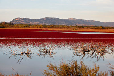 Scenic view of lake against sky