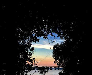 Low angle view of trees against sky at sunset