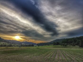 Scenic view of agricultural field against sky during sunset