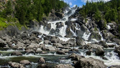 Scenic view of waterfall in forest