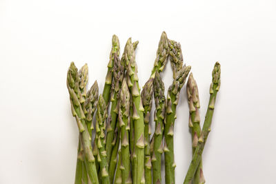 High angle view of vegetables against white background