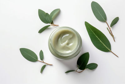 High angle view of leaves on white background