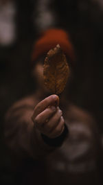 Close-up of hand holding leaf