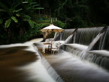 Gazebo amidst trees in forest