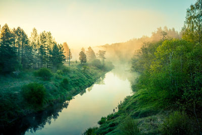 A beautiful spring landscape of a river valley with morning mist. springtime scenery of a river..