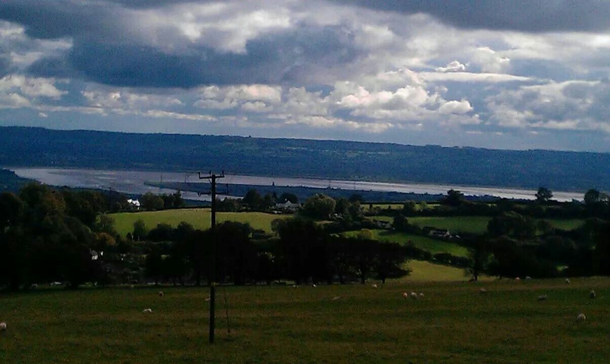 sky, grass, cloud - sky, tranquil scene, water, scenics, tranquility, sea, beauty in nature, cloudy, cloud, nature, green color, landscape, tree, field, horizon over water, idyllic, grassy, outdoors