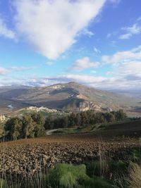 Scenic view of agricultural field against sky