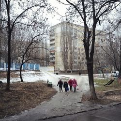 Bare trees in front of building