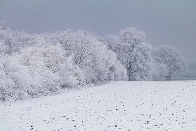 Dark winter impression with snow, frost and ice and a field in front of trees and bushes, germany