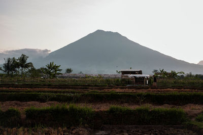 mountain