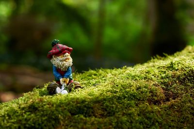 Gnome playing golf