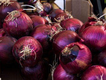 Close-up of spanish onions for sale at market stall