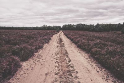 Dirt road amidst field against sky