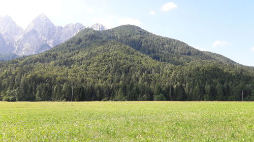 Scenic view of green landscape and mountains against sky