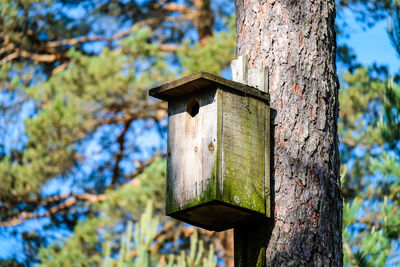 Close-up of birdhouse on tree trunk