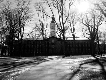 Bare trees by building against sky during winter