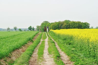 People on horses by agricultural field against clear sky