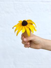 Close-up of hand holding yellow flower