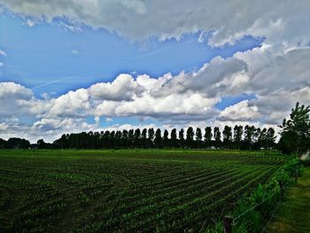 Scenic view of field against cloudy sky