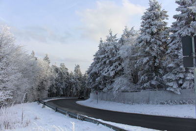 Snow covered road by trees against sky