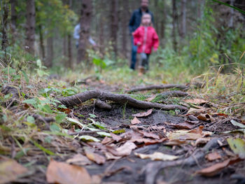 Full length of woman standing by tree in forest