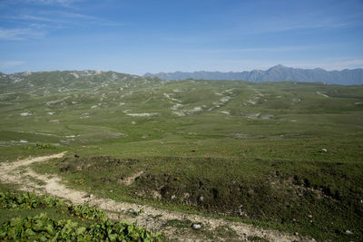 Scenic view of landscape against sky