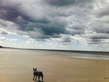 Scenic view of beach against cloudy sky